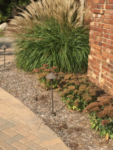 Landscape with pavers and lights