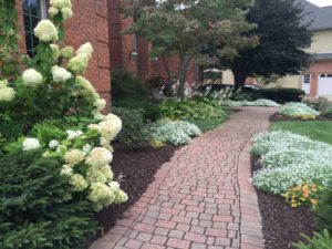 Walkway Home