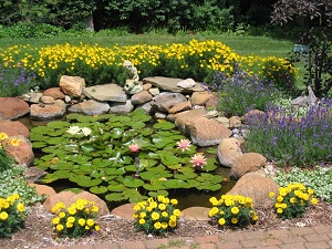 Pond with flowers and statue
