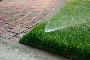 lawn-sprinkler-paver