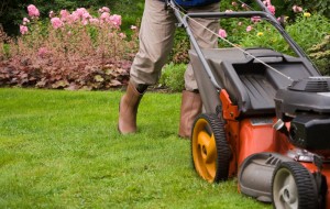 bigstock-Gardener-mowing-the-lawn--18929231