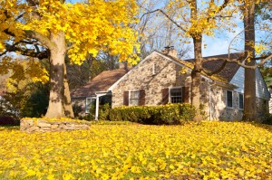 bigstock-House-Philadelphia-Yellow-Fall-23769386