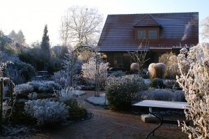 bigstock-winter-in-a-natural-garden-9769973