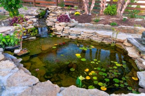 Decorative koi pond in a garden