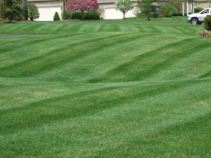 Lawn Striping