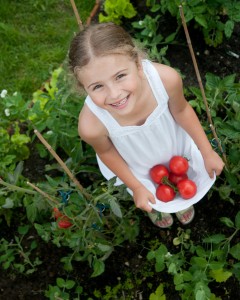 girl collecting tomatoes in her dress