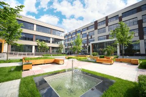 Landscape Area with fountain at commercial property