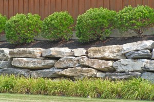 Commercial Planting With Boulder Wall