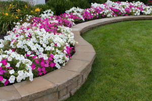 Lawn Care Services in Ann Arbor MI