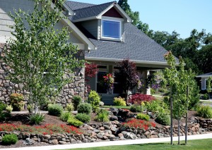 Residential Landscaping