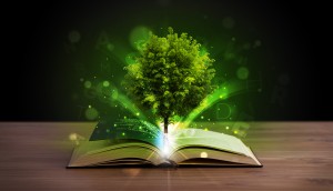 Abstract: Tree growing out of book