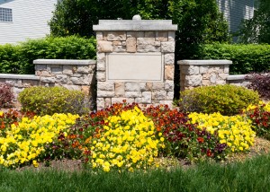 colorful flowers in front of brick wall.