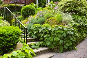 Landscaped garden path with natural stone steps and metal railin