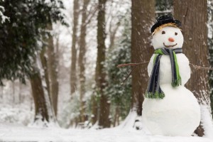 Winter Scene with trees and snowman