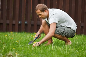 Man working in garden