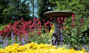 multicolored flowers around bird bath