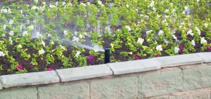 sprinkler spraying on flower bed