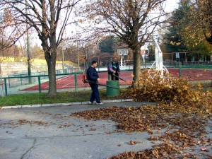 Professional landscape services cleaning up leaves in Autumn.