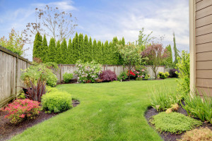 Landscape contractors, Ann Arbor