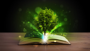 Open book with magical green tree and rays of light on wooden de