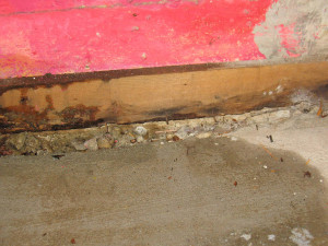 Water Damaged Basement