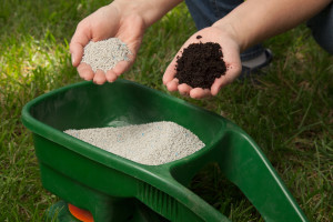 Fertilizing Lawn