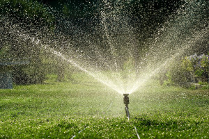 Sprinkler head spraying water on lawn