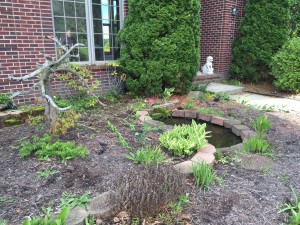 Before - Overgrown Front Bed