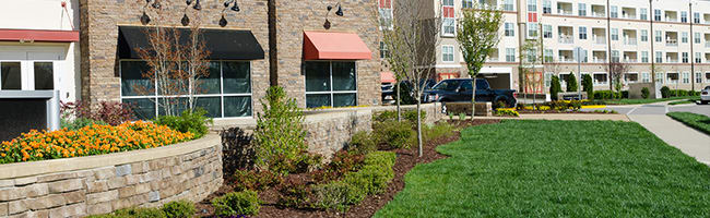 Commercial landscaping