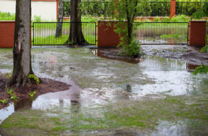 Flooded residential yard.