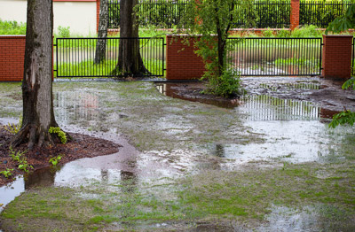 Twin Oaks Landscape is a professional drainage contractor in Ann Arbor that can fix the standing water in your yard.