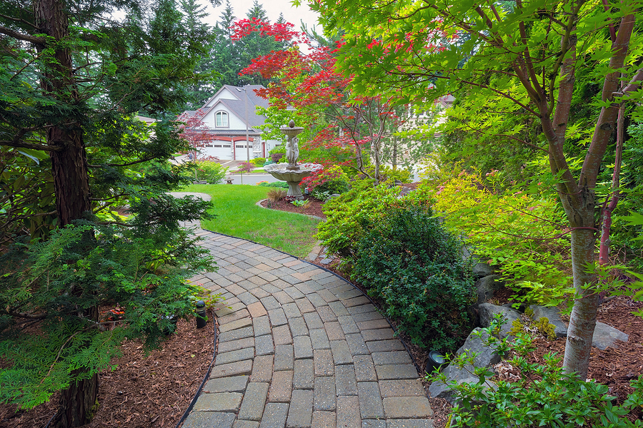 Landscape Design Tips and Trends For The New Year