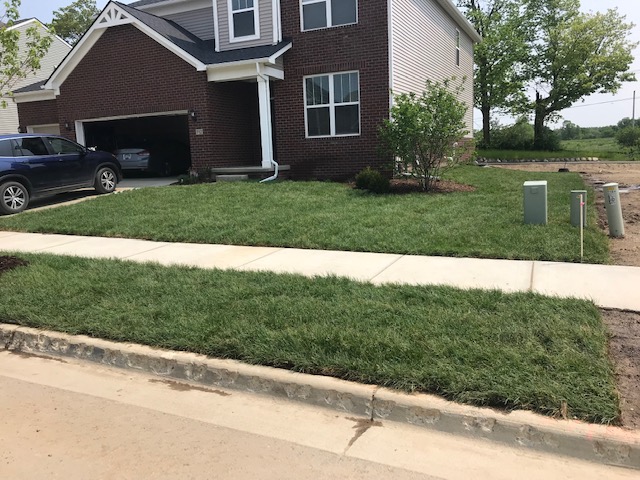 New landscape and grass in front yard.