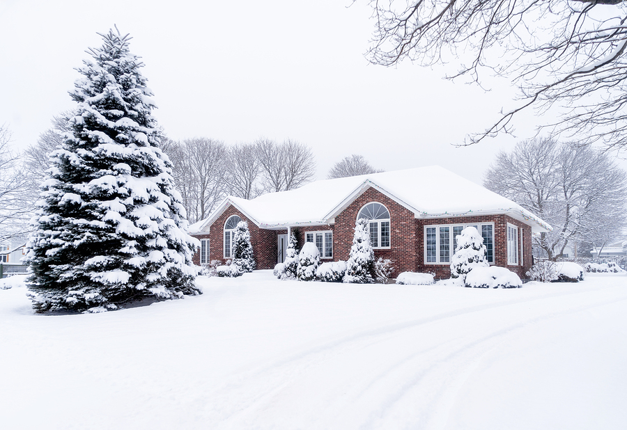 Nice brick house in winter with snow on the ground and a big pine tree in the front yard.