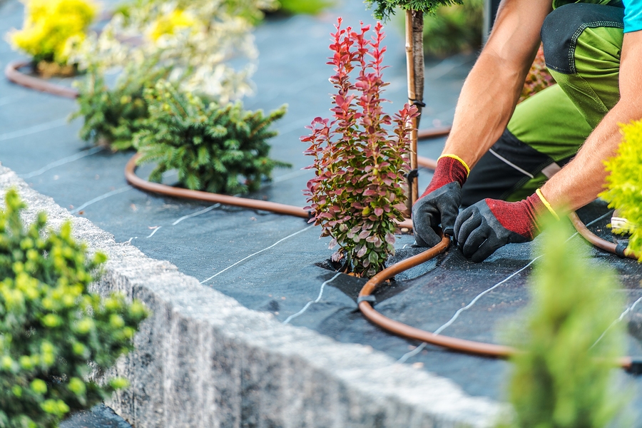 Residential irrigation sytem being installed in a flower bed.