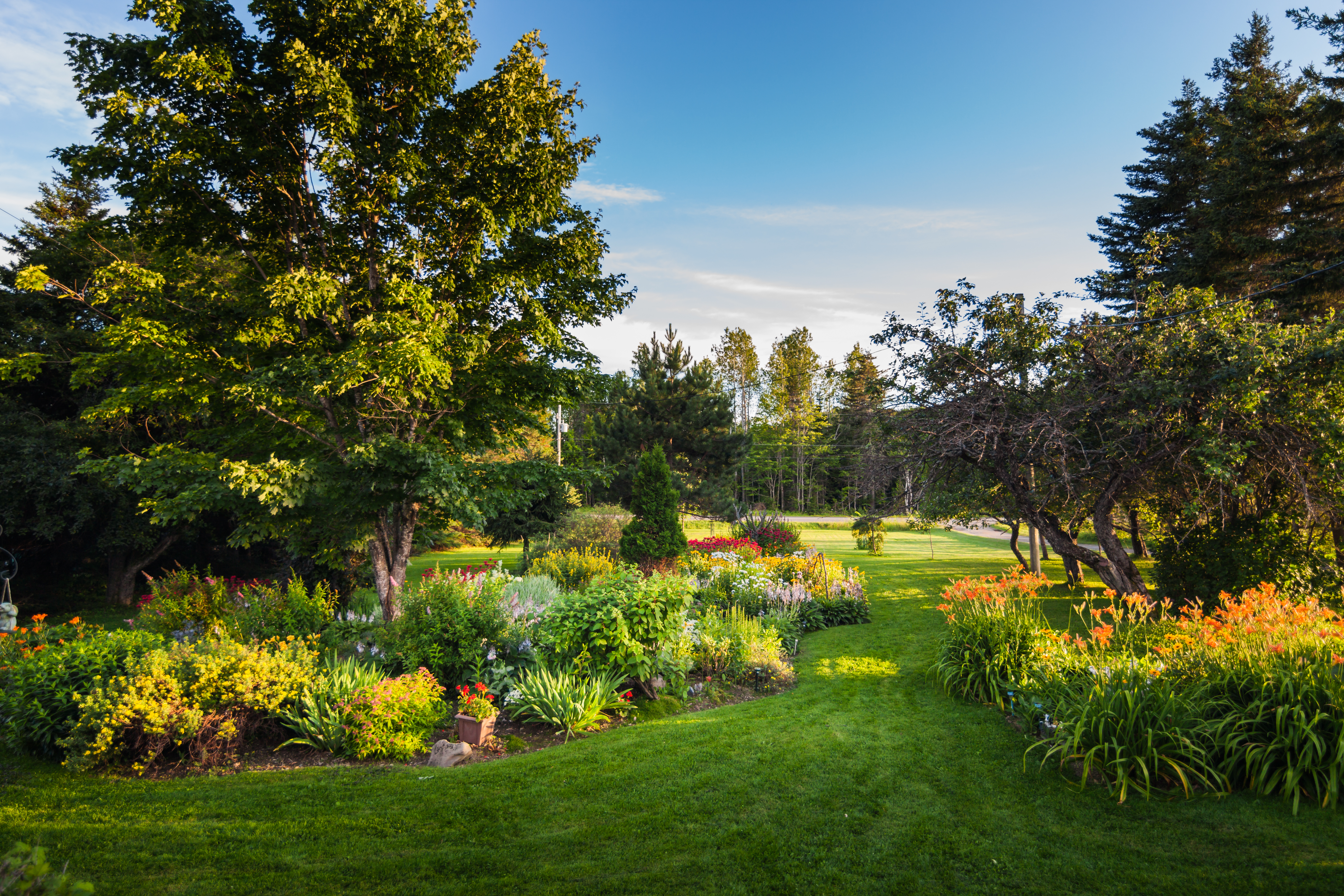 Well maintained summer landscape.