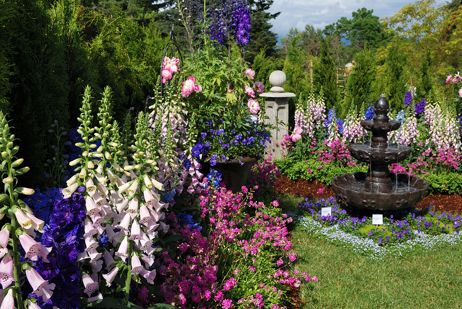 Beautiful perennial garden with a fountain.