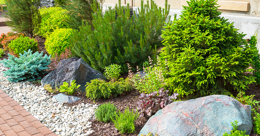 Landscaping in home garden. Beautiful natural landscape design with flower beds in summer. Panoramic view of landscaped part with plants and stones in yard or backyard of residential house.