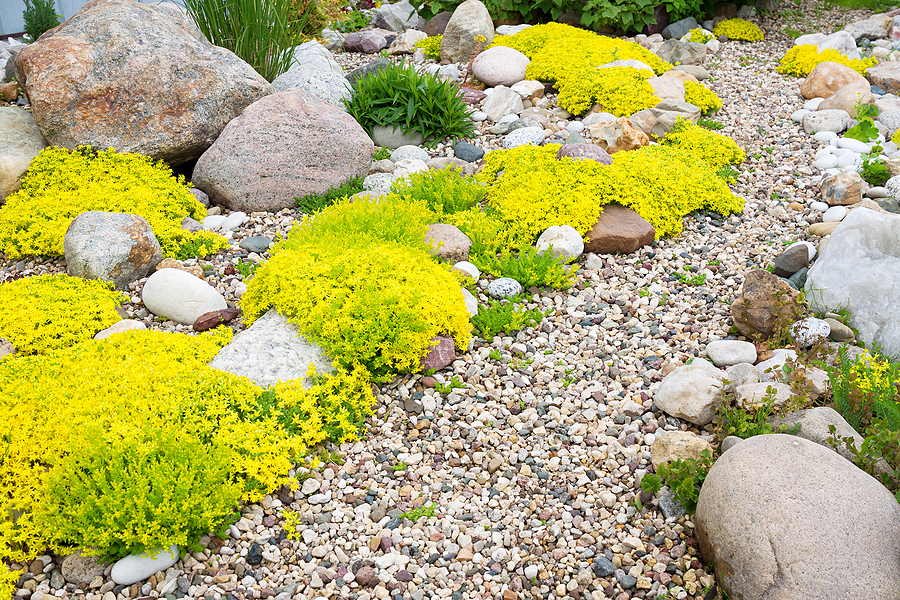 Dry river bed drainage solution in landscape.