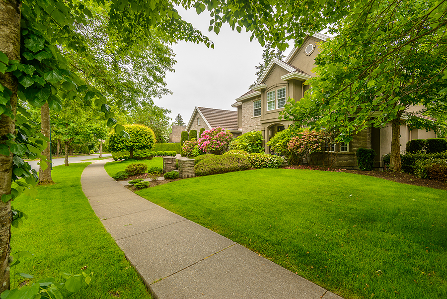 Upscale neighborhood with lush landscape. 