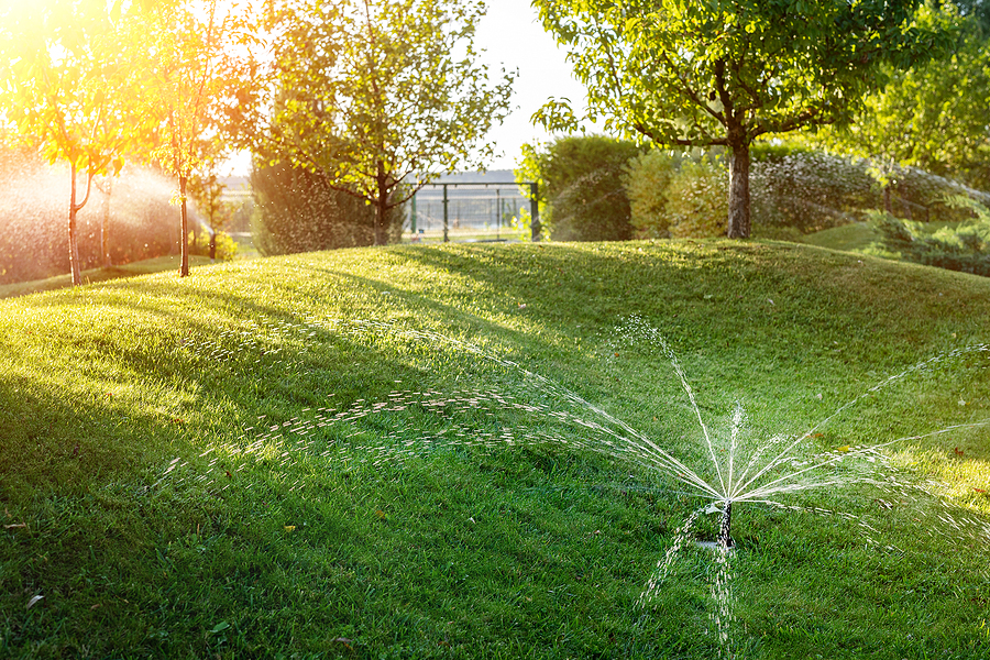 Landscape automatic garden watering system with different sprinklers installed under turf. Landscape design with lawn hills and fruit garden irrigated with smart autonomous sprayers at sunset.