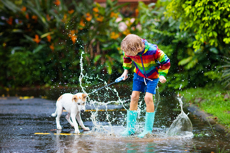 Kid and dog playing in a large puddle after a good rain.