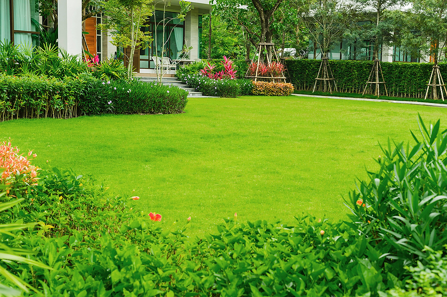 Residential lawn with lush green grass lined with shrubs and flowers.