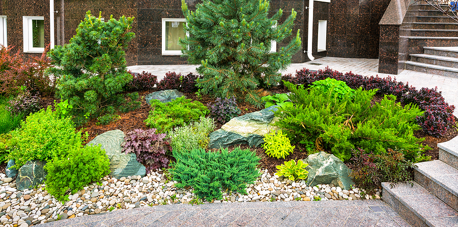 Landscaping panorama of home garden. Beautiful view of landscaped garden in backyard. Scenery of natural landscaping area in summer. Landscape design with stones and plants at residential house.