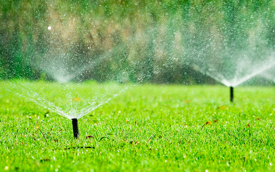 Automatic lawn sprinkler watering green grass. Sprinkler with automatic system. Garden irrigation system watering lawn. Water saving or water conservation from sprinkler system with adjustable head.