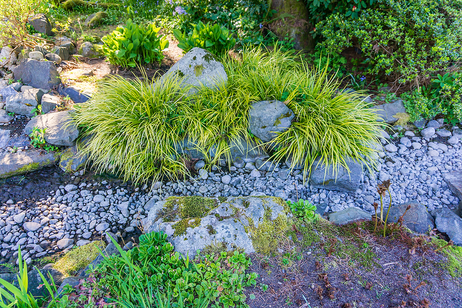 Dry creek bed with green foliage planted throughout.
