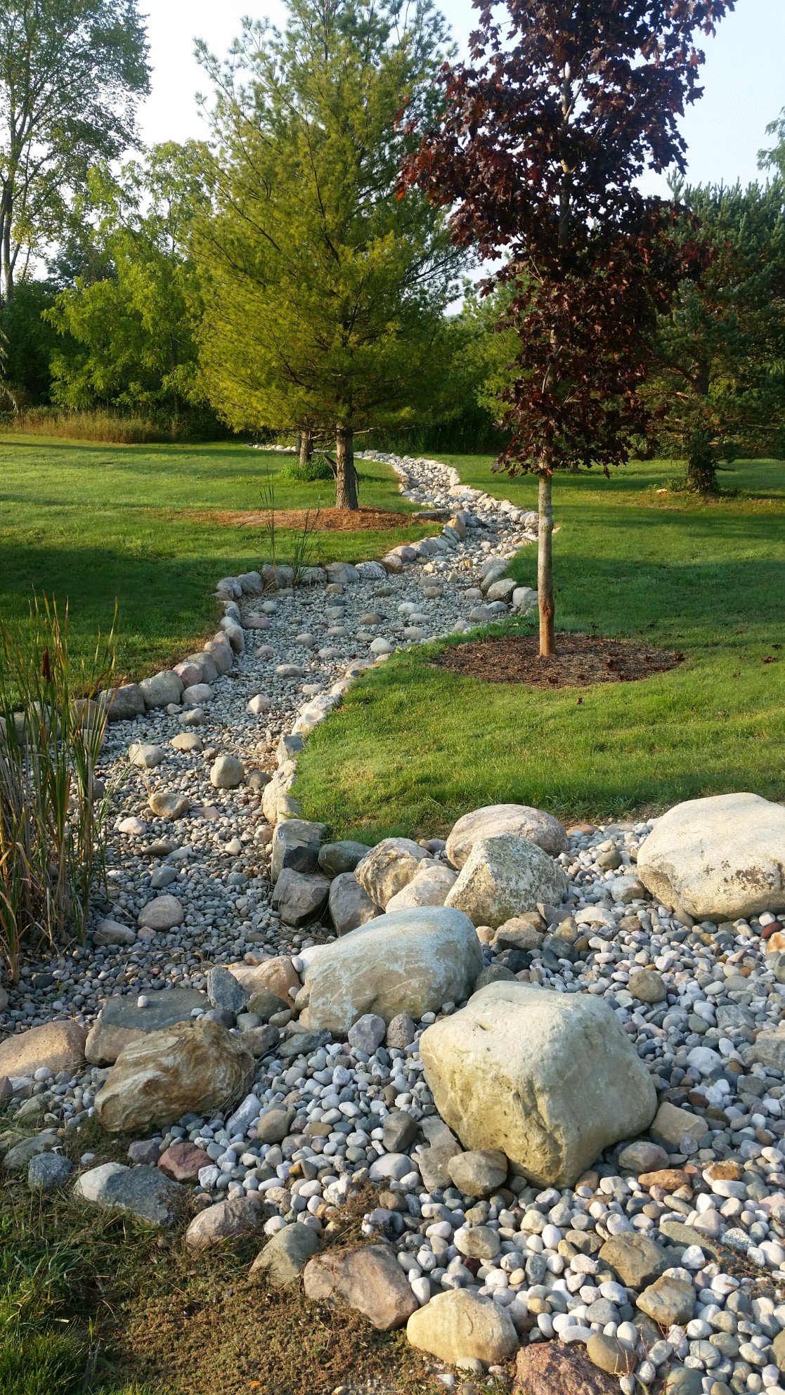 Winding dry creek bed in residential yard.