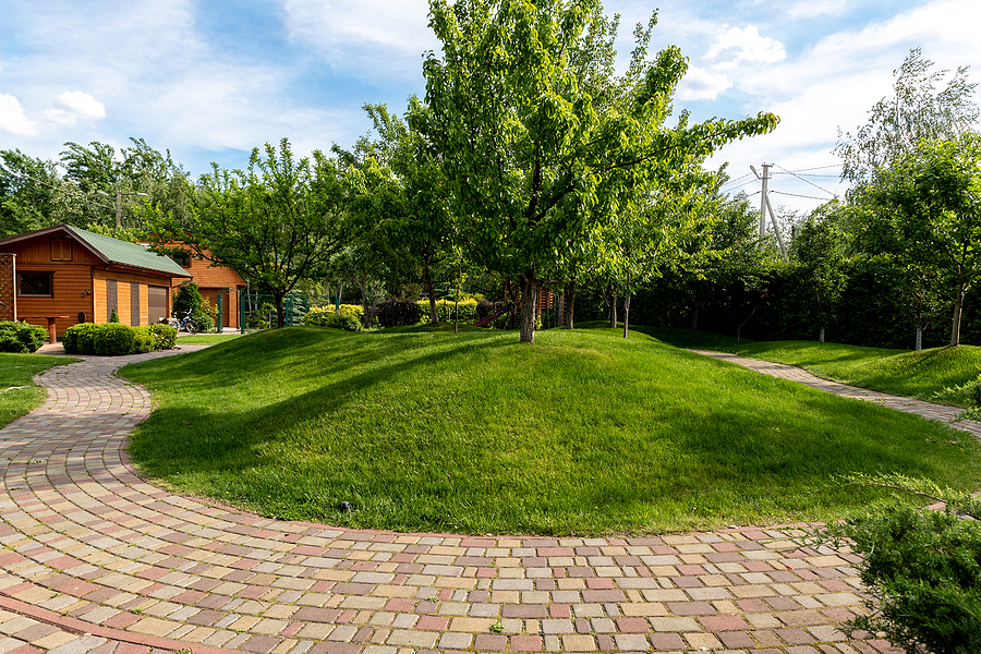 Scenic view yard garden trees and paved stone path road for walk against beautiful blue sky. Landscape design green lawn turf hills and plants irrigated with smart autonomous sprayers on bright day