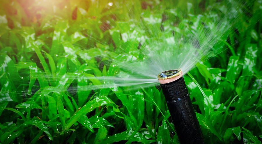 A Lawn Sprinkler System Does More than Just Water Your Grass