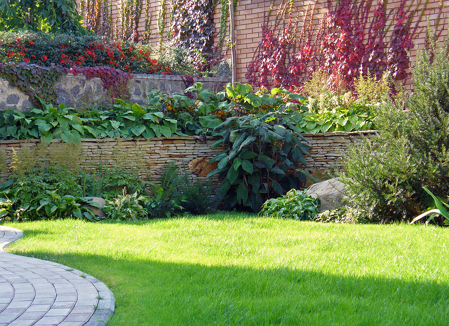 Garden stone path with grass growing up between the stones.Detail of a botanical garden.